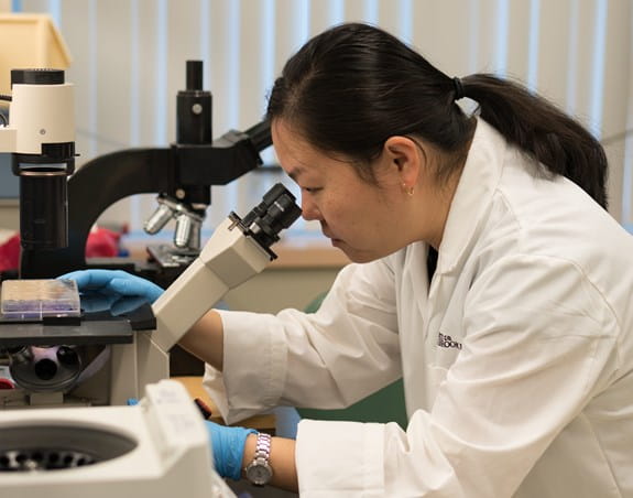 Dr Lee-Hwa Tai at her research desk looking into a microscope